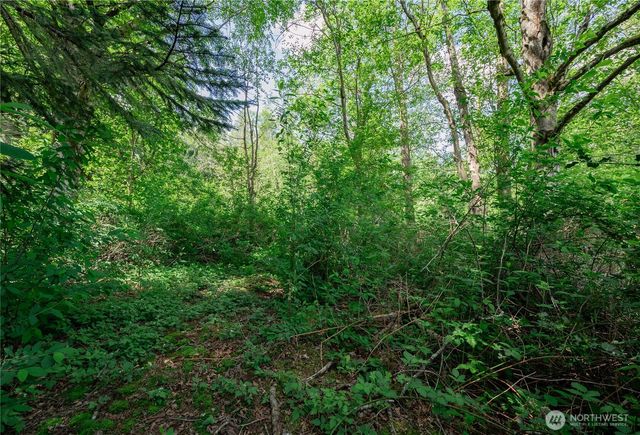 6011 Medcalf Road, Bellingham, WA 98226