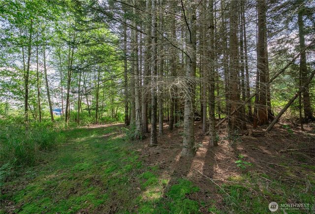 6011 Medcalf Road, Bellingham, WA 98226