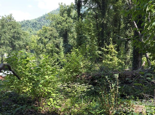 0 Rock Broad River Road 21, Hendersonville, NC 28792