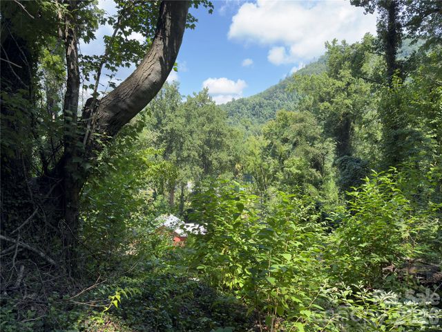 0 Rock Broad River Road 21, Hendersonville, NC 28792