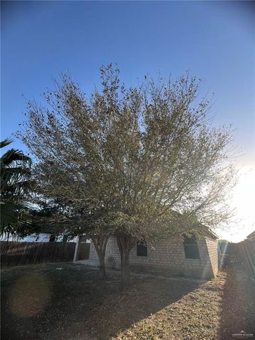 929 Annabelle Street, Edcouch, TX 78538