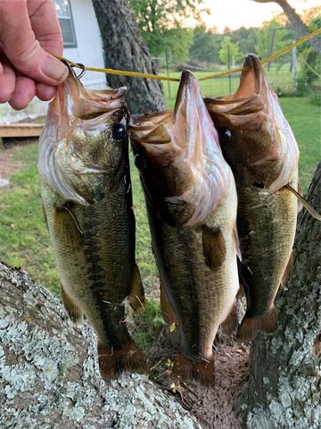 150 Canyon Run Boulevard, Huntsville, TX 77320