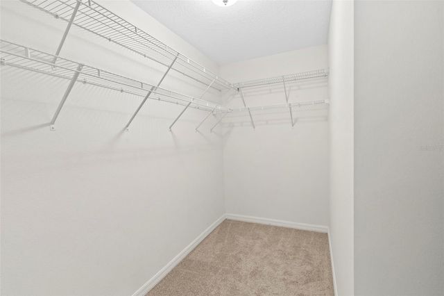 11924 WINTERSET COVE DRIVE, Riverview, FL 33579
