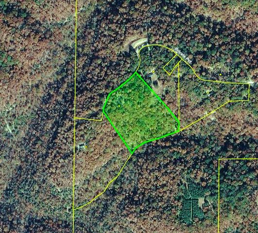 21752 W Highway 62, Eureka Springs, AR 72631