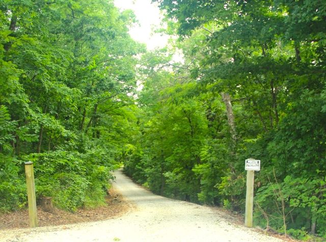 21752 W Highway 62, Eureka Springs, AR 72631