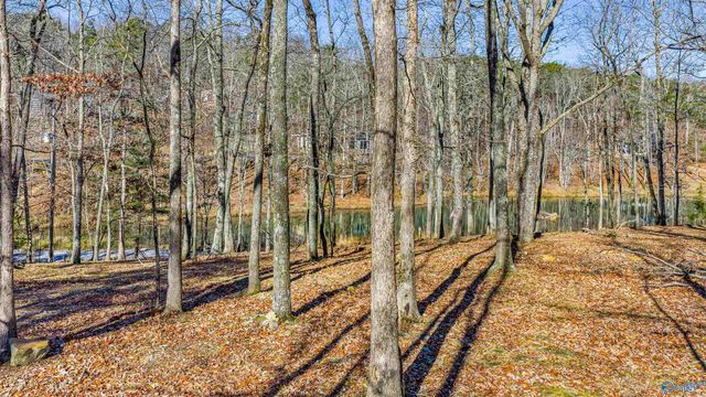 396 Road 9081, Mentone, AL 35984