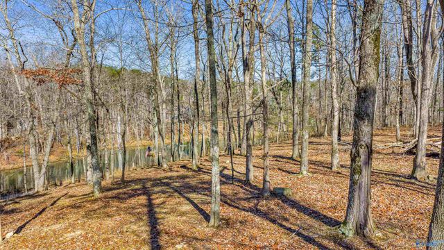396 Road 9081, Mentone, AL 35984