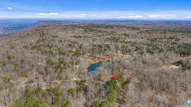 396 Road 9081, Mentone, AL 35984