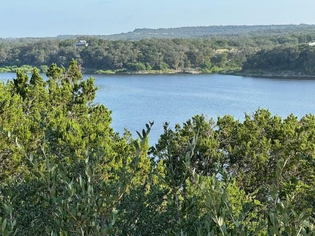 24729 Travis Lakeside CV, Spicewood, TX 78669