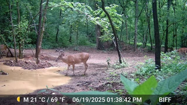 2219A Mack Benderman Rd, Culleoka, TN 38451