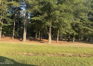 00 Shire Avenue, Forest, MS 39074