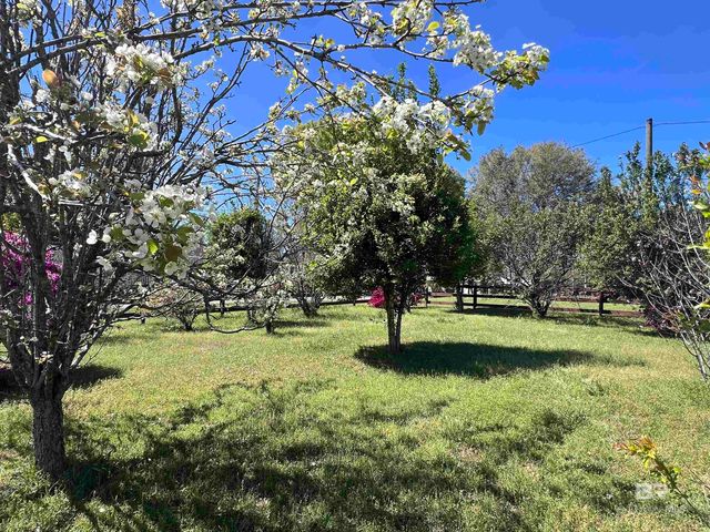 14765 CAMELIA Avenue, Magnolia Springs, AL 36555