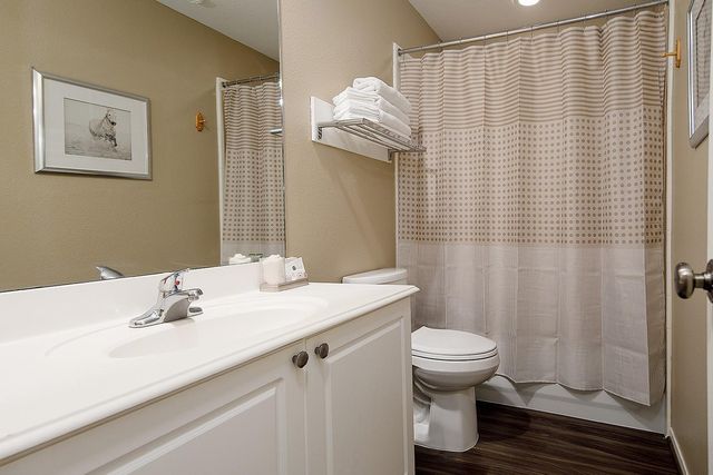 60 Woodlily Place, The Woodlands, TX 77382