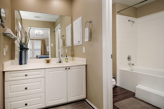 60 Woodlily Place, The Woodlands, TX 77382