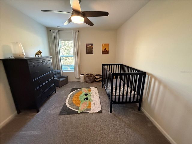 4773 MAGNETITE LOOP, Mount Dora, FL 32757