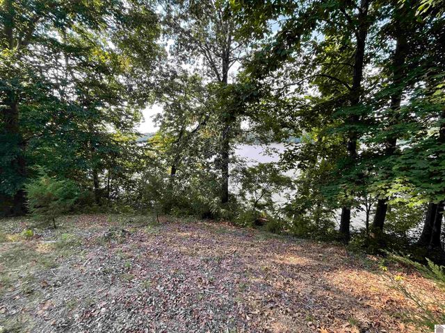 262 Jeopardy Ln # 7, Cadiz, KY 42211