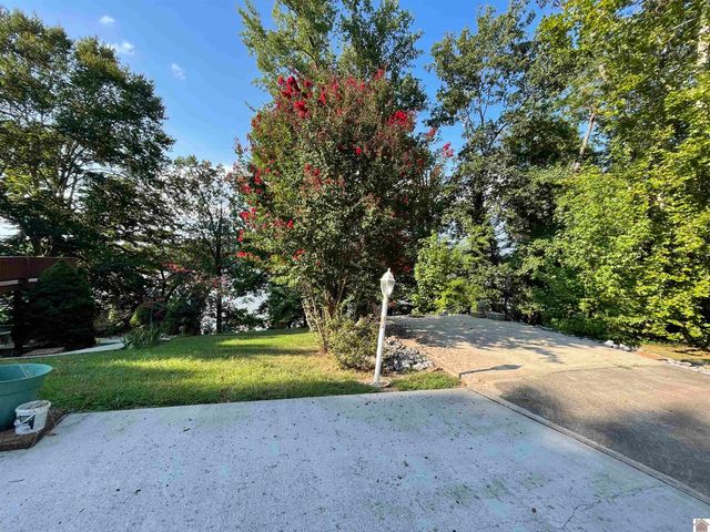 262 Jeopardy Ln # 7, Cadiz, KY 42211