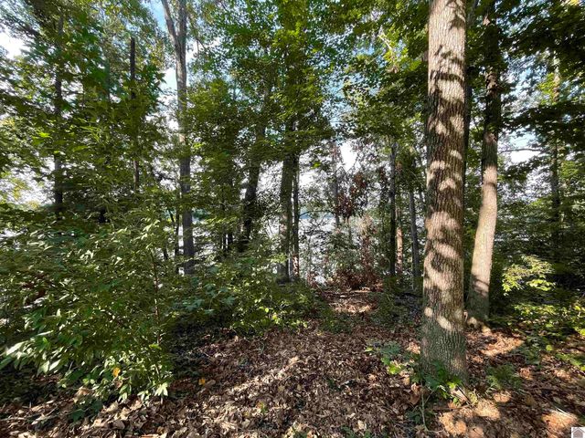 262 Jeopardy Ln # 7, Cadiz, KY 42211