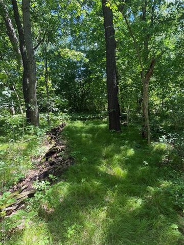 00 Deer Ridge Trail, Holly, MI 48442