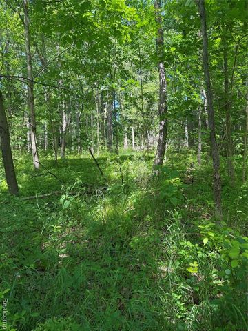 00 Deer Ridge Trail, Holly, MI 48442