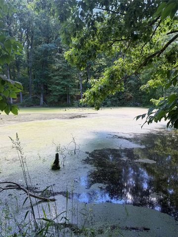 00 Deer Ridge Trail, Holly, MI 48442