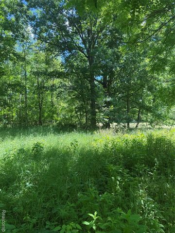 00 Deer Ridge Trail, Holly, MI 48442