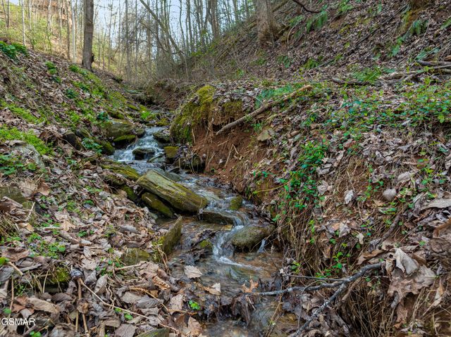 4210 S Boogertown Road, Sevierville, TN 37876