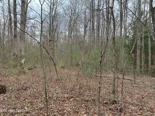 Milo Webb, Crossville, TN 38572
