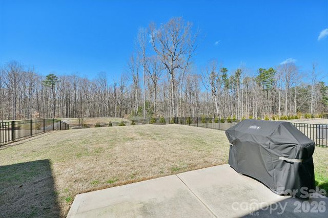 17244 River Race Drive, Huntersville, NC 28078