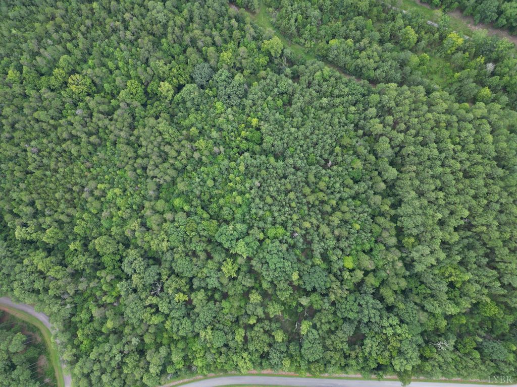 0 Runaway Bay Road, Lynch Station, VA 24571