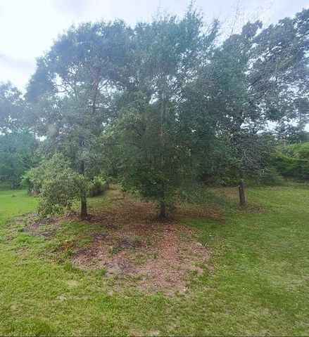 571 Pelican Street, Magnolia, TX 77355