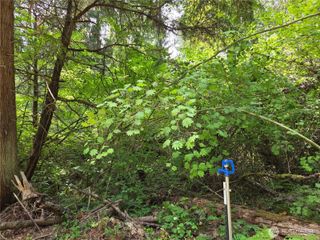 22041 Clear Lake Boulevard SE, Yelm, WA 98597