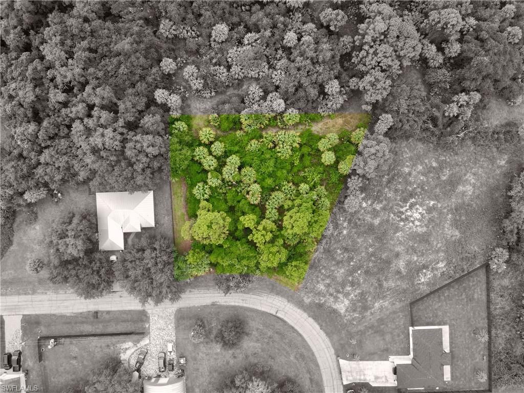 March LN, LABELLE, FL 33935 — photo 3
