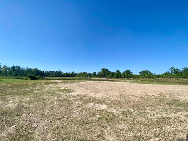 45238 Butch Gore Rd, St Amant, LA 70774