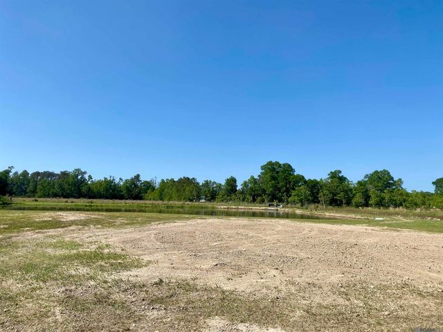 45238 Butch Gore Rd, St Amant, LA 70774