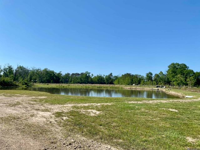 45238 Butch Gore Rd, St Amant, LA 70774