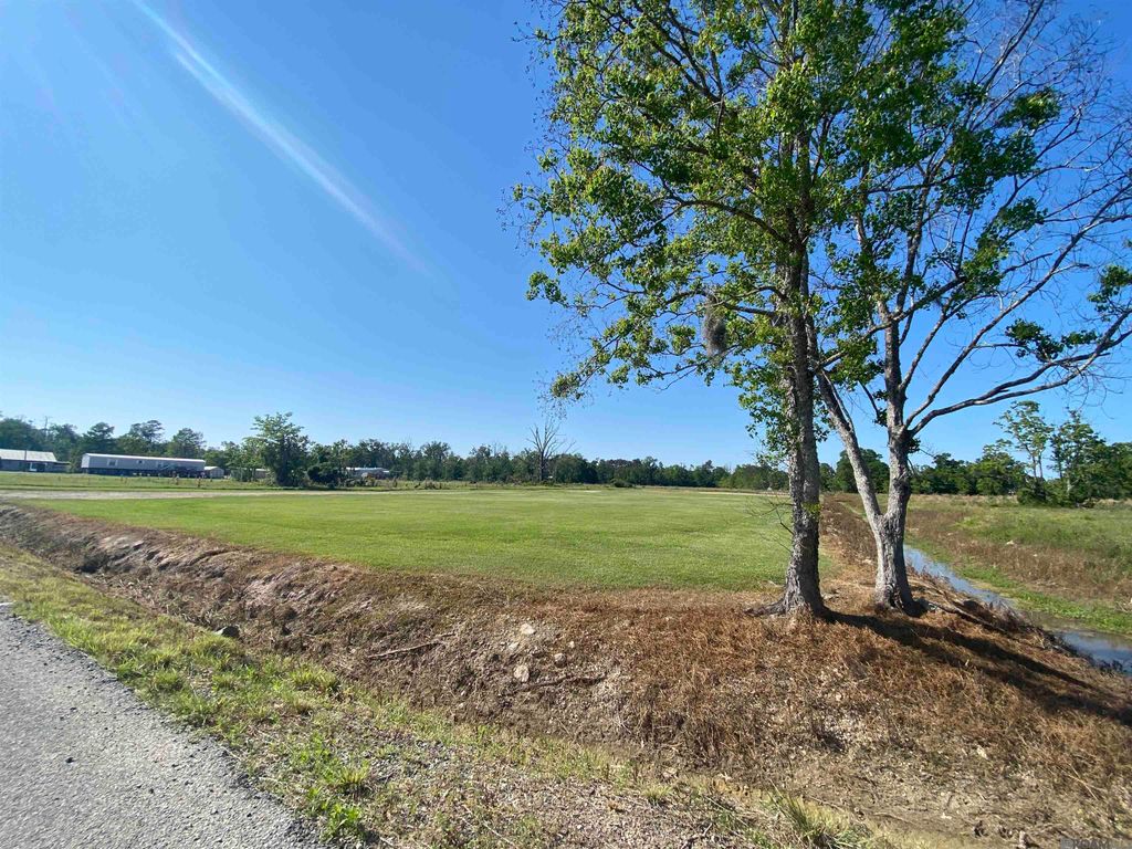 45238 Butch Gore Rd, St Amant, LA 70774