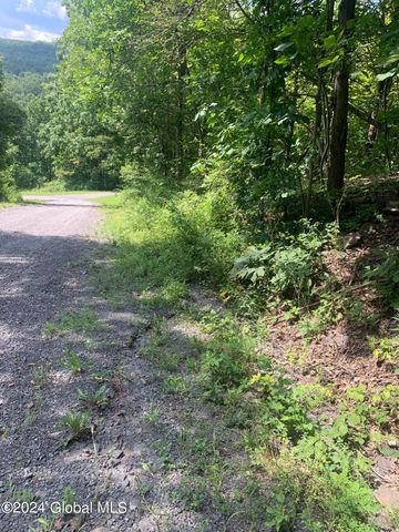 L171 Edwards Hill Road, Rensselaerville, NY 12469