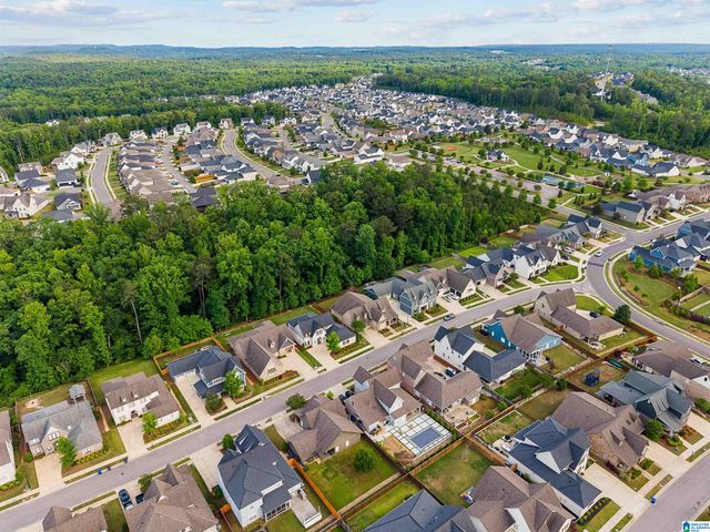 2080 NUNNALLY PASS, Hoover, AL 35244