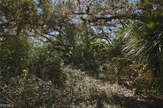 2975 Styles RD, Alva, FL 33920