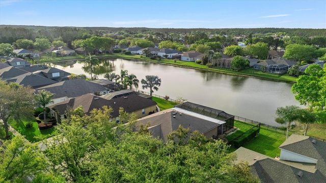 19111 FERN MEADOW LOOP, Lutz, FL 33558