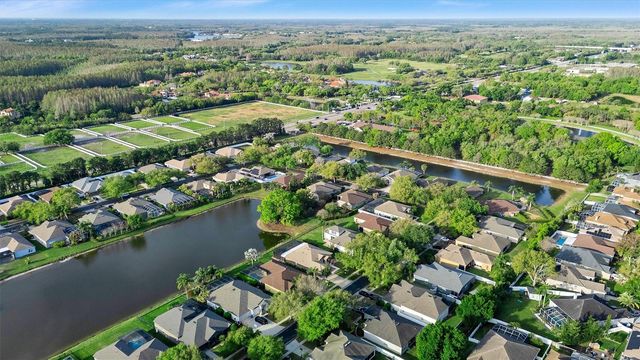 19111 FERN MEADOW LOOP, Lutz, FL 33558