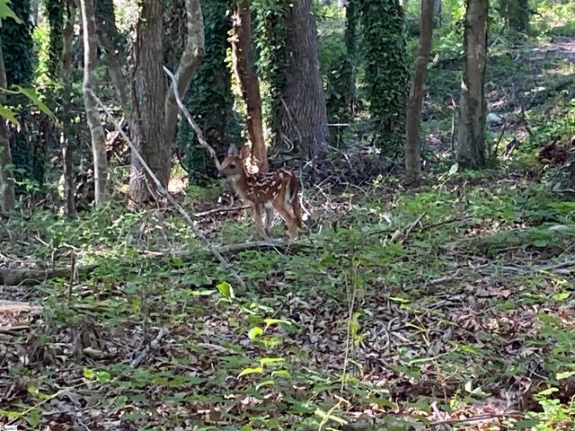 211 Gerald Drive, Simpsonville, SC 29681