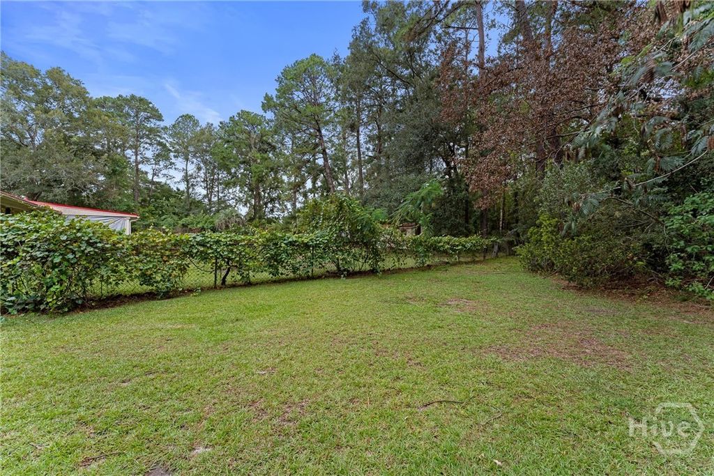Image 38 of property listing at 177 Bea Road, Richmond Hill, GA 31324