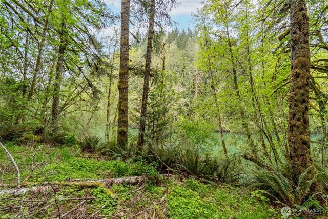 124 Raydel Drive, Mossyrock, WA 98564