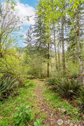 124 Raydel Drive, Mossyrock, WA 98564
