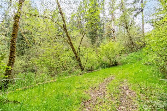 124 Raydel Drive, Mossyrock, WA 98564