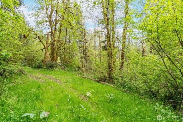 124 Raydel Drive, Mossyrock, WA 98564