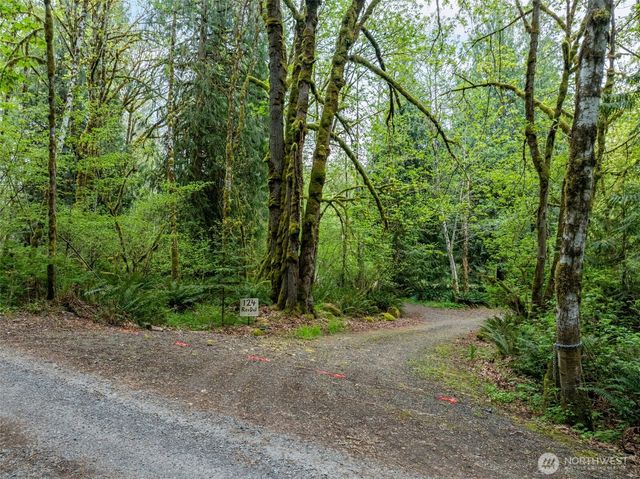 124 Raydel Drive, Mossyrock, WA 98564