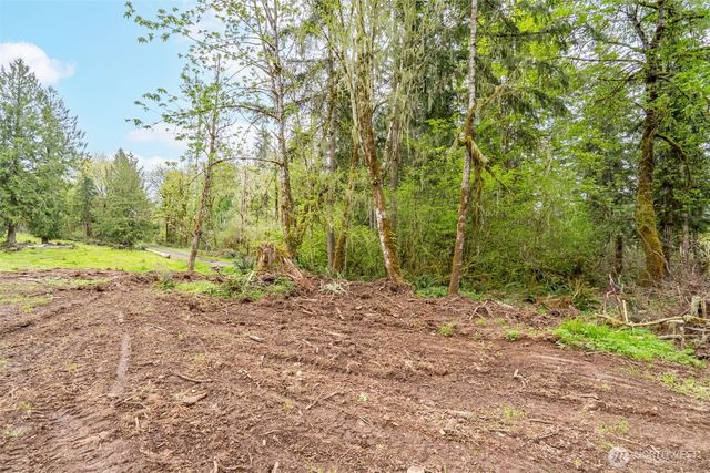 124 Raydel Drive, Mossyrock, WA 98564